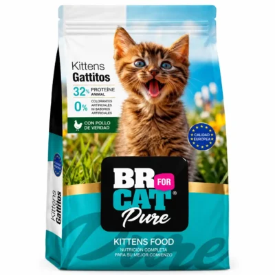 BR FOR CAT GATITOS SALMON X 1 KILO